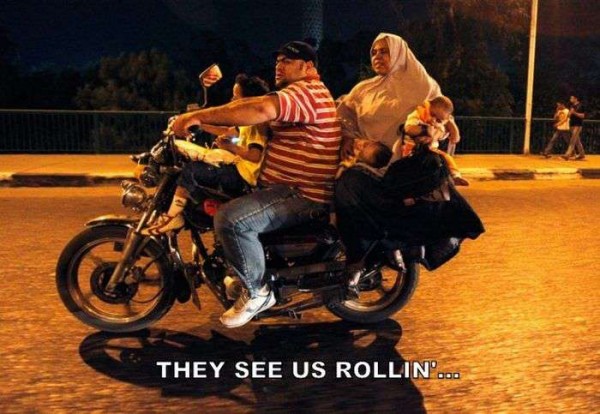 Bilder-Thread uh43048,1288607357,KMDN-Daily-PicDump-No.37 32-600x414