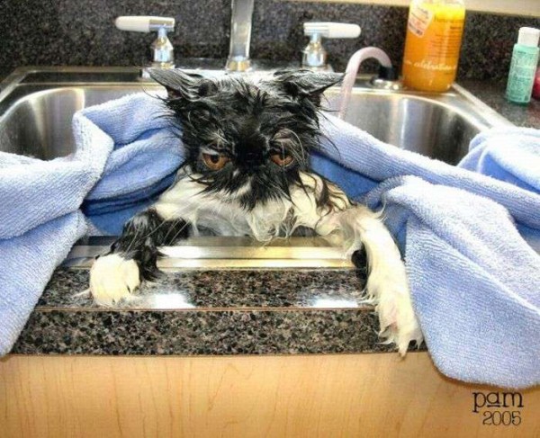 Bilder-Thread uh43048,1288607561,KMDN-Daily-PicDump-No.37 73-600x487
