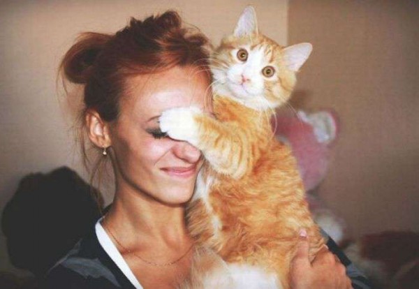 Bilder-Thread uh43048,1288607665,KMDN-Daily-PicDump-No.37 93-600x414
