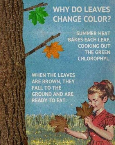 Bilder-Thread uh43048,1288607893,Funny-Pictures-Part-63 22-396x500