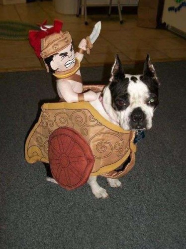 Bilder-Thread uh43048,1288607994,Funny-Pictures-Part-63 39-374x500