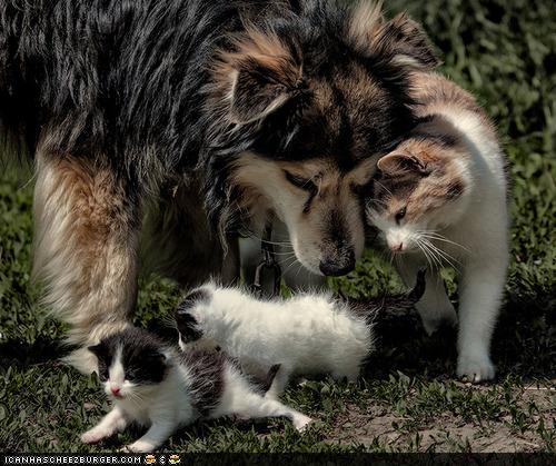 Bilder-Thread uh43048,1288802656,3c51012b-c60b-4317-ace4-c63f3fffbd1f