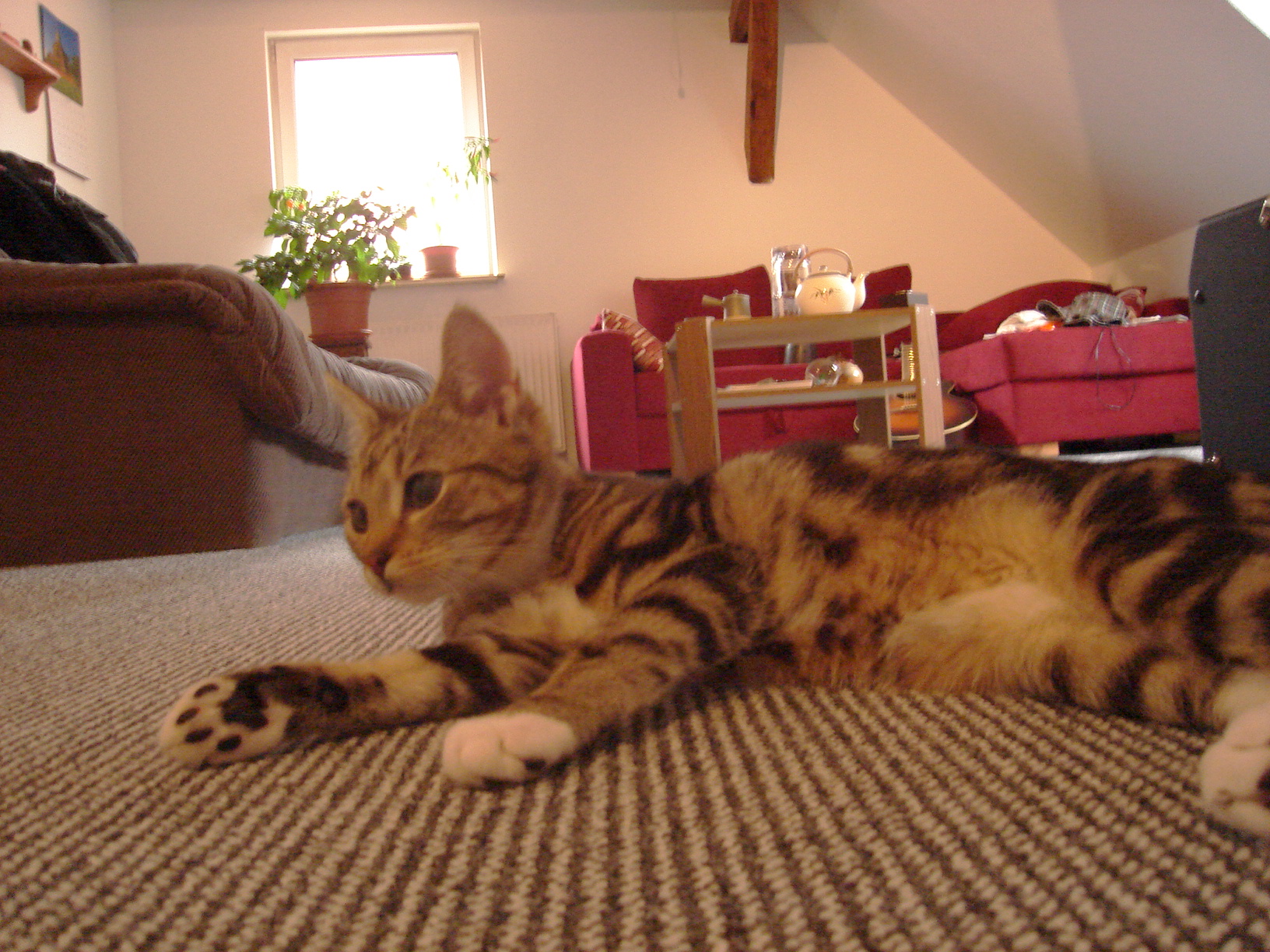 Bilder-Thread uh43048,1288803640,dsc04269th5m0FBKOY