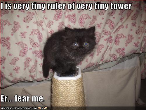 Bilder-Thread uh43048,1289246794,funny-pictures-kitten-rules-a-tower