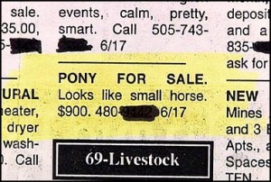 Bilder-Thread uh43048,1289246986,classifiedpony2-300x202