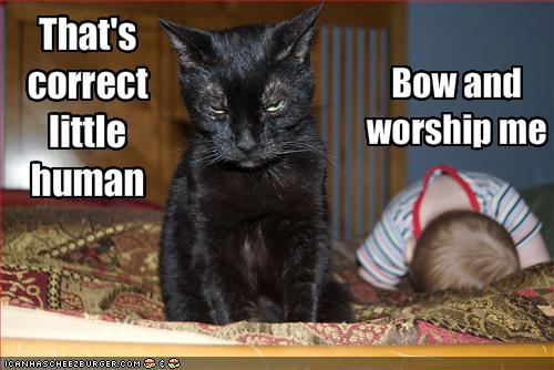 Bilder-Thread uh43048,1289247114,funny-pictures-cat-demands-that-baby-worship-him