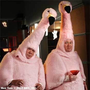 Bilder-Thread uh43048,1289247333,flamingosFunny