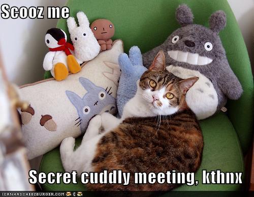 Bilder-Thread uh43048,1289306141,8b2cb1ee-910a-4f41-a54c-489f52862d2f