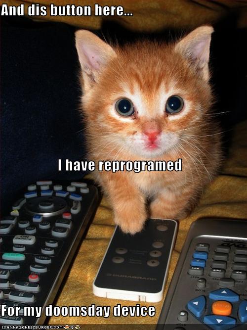 Bilder-Thread uh43048,1289768560,funny-pictures-cat-pushes-doomsday-button