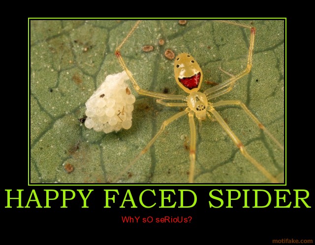 Bilder-Thread uh43048,1289771607,happy-faced-spider-shock-demotivational-poster-1236757037