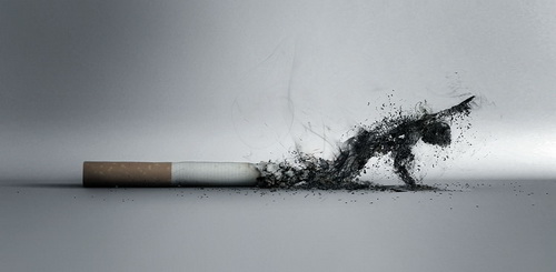 Bilder-Thread uh43048,1289898765,anti smoking cigarettes ad 08