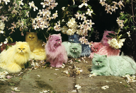 Bilder-Thread uh43048,1290015161,timwalker1