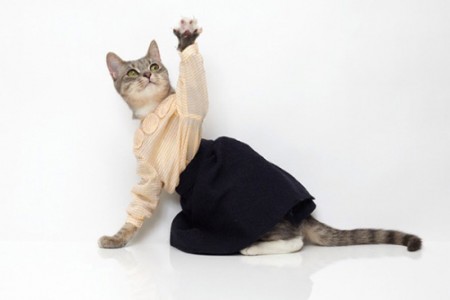 Bilder-Thread uh43048,1290016679,united bamboo cat dress 1-450x300