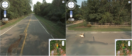 Bilder-Thread uh43048,1290110761,p6ywl2 113637 b9vfl4b63jb7cpmrBfaUdqkJo1 500