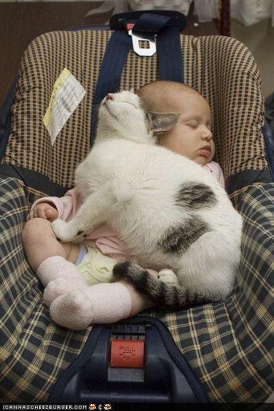 Bilder-Thread uh43048,1290433477,784c1696-377e-40e3-b04f-fad98bcfe73e