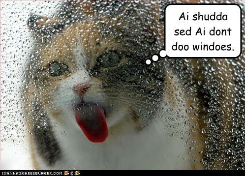 Bilder-Thread uh43048,1290958238,3bdc765b-666f-42e7-9a70-b0559a5be007