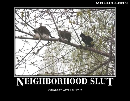 Bilder-Thread uh43048,1291032865,VFnBvM 113637 slut