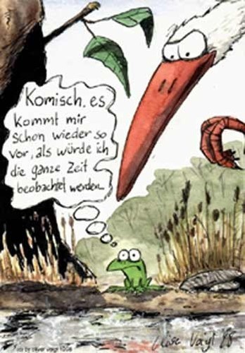 Bilder-Thread uh43048,1291241869,dk19o6 25812 frosch-comic medium