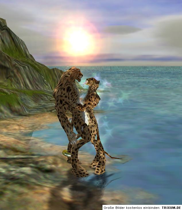 Bilder-Thread uh43048,1291833080,E6QrfPcgDxna129183301049S