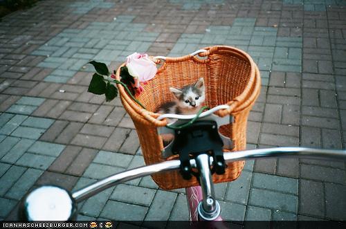 Bilder-Thread uh43048,1292180669,782f0adf-0ad0-4148-a9b4-91f25de20939