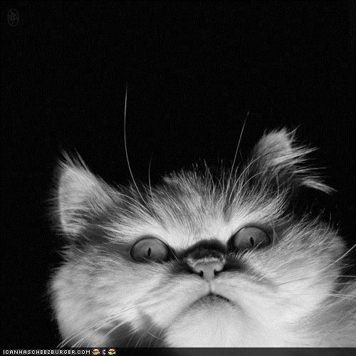 Bilder-Thread uh43048,1292181079,e1b26086-6f45-42c2-8115-d1518b2766a3