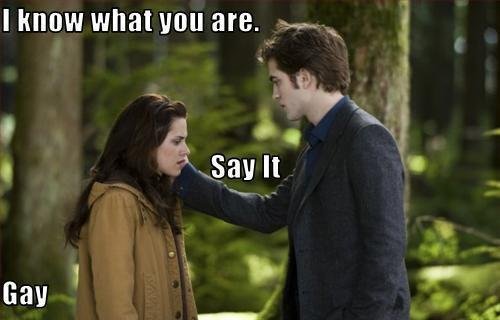 Bilder-Thread uh43048,1292263866,funny-twilight-picture