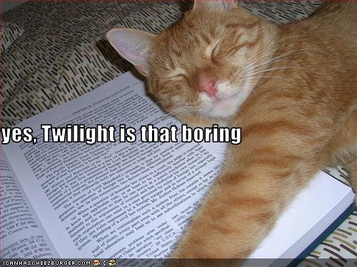 Bilder-Thread uh43048,1292263902,funny-pictures-cat-sleeps-on-book1