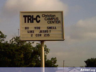 Bilder-Thread uh43048,1292264182,Smells Like Jesus