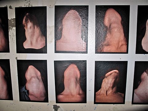 Bilder-Thread uh43048,1292521128,d6d559351ef745019646a4230d189bd1fb432c3d m