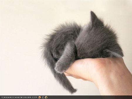Bilder-Thread uh43048,1292779102,31c3f790-6e4d-4191-847e-1674d844699e