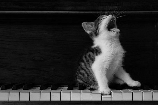 Bilder-Thread uh43048,1293148947,thumbs PicsisPicdump25 03