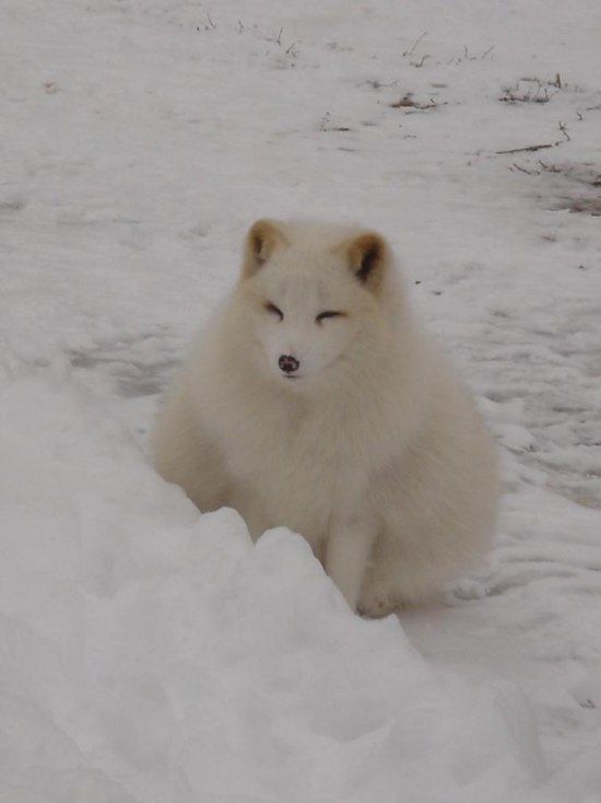 Bilder-Thread uh43048,1294085293,pics 101