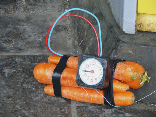 Bilder-Thread uh43048,1294160292,bunnyproject