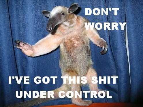 Bilder-Thread uh43048,1294705882,FNwTRL 19274 anteater