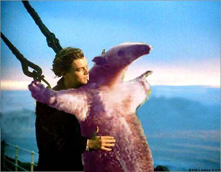 Bilder-Thread uh43048,1294705882,anteater-13