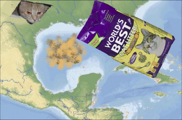 Bilder-Thread uh43048,1294708189,bp-oil-spill-cat-litter-e1276043153203