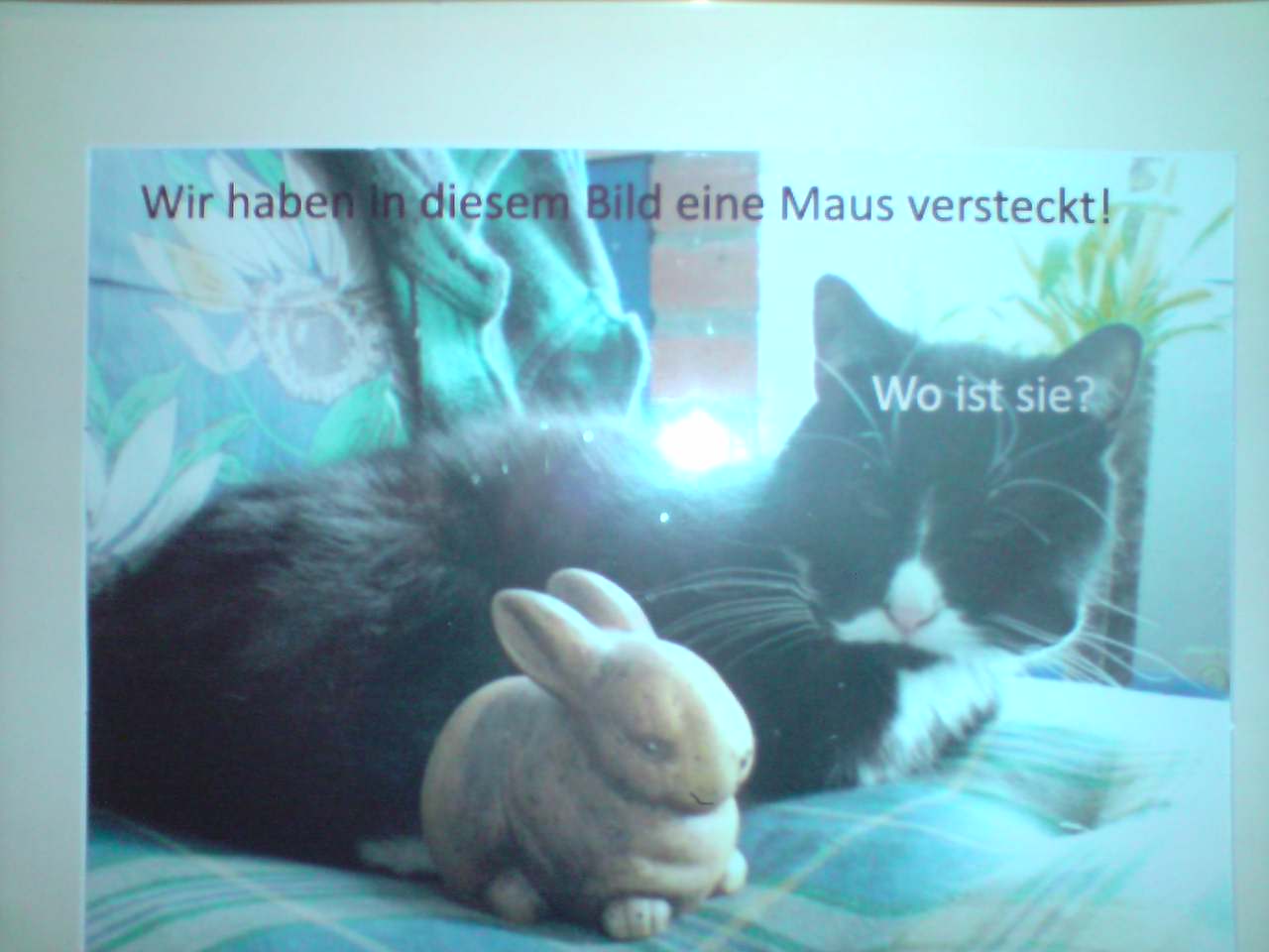 Bilder-Thread uh43048,1294869206,2s8i6ba