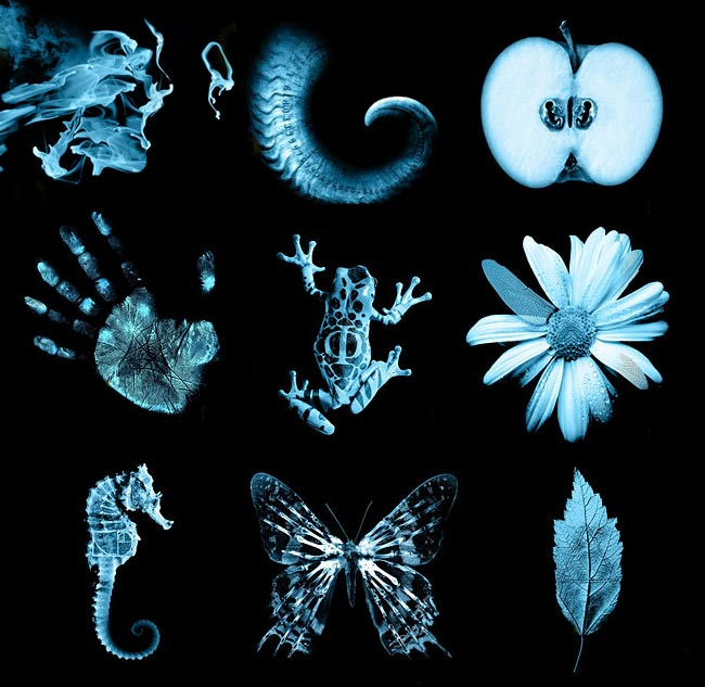 Bilder-Thread uh43048,1295182009,bmS3Le 26117 fringe glyphs