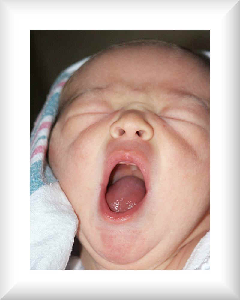 Bilder-Thread uh43048,1295285219,Yawn1099-006