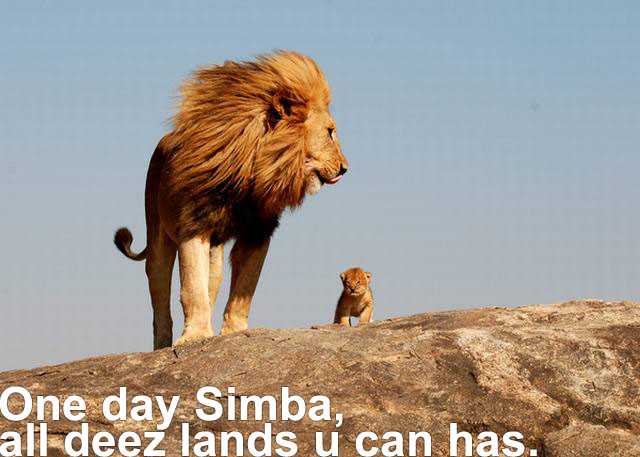 Bilder-Thread uh43048,1295481341,lion-king-simba-can-has-lands