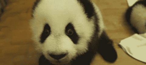 Bilder-Thread uh43048,1295625136,80ce538fb9205dd8e72576d0ab43c4e0c4a710fe m