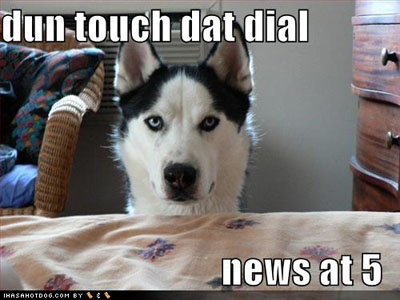 Bilder-Thread uh43048,1295755025,loldog