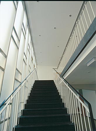/dateien/uh45894,1277321075,Handlauf aus Kunststoff an einer geraden Treppe Flachhandlauf F 408 Farbe Schwarz 944