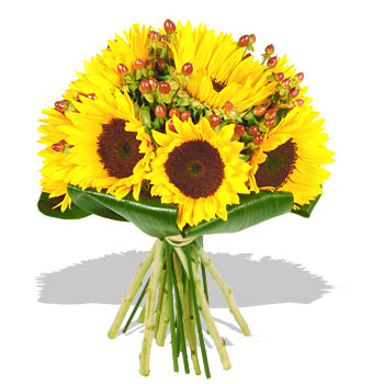 /dateien/uh48937,1248205213,4144-sonnenblumen