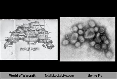 /dateien/uh53429,1241710829,world-of-warcraft-totally-looks-lilke-swine-flu