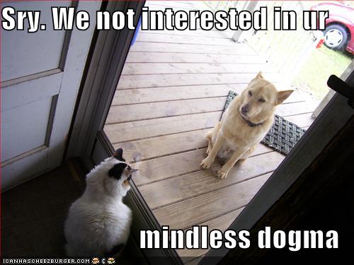 /dateien/uh54139,1242999667,funny-pictures-cat-greets-dog-at-door