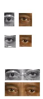 /dateien/uh55144,1255199724,murray eyes