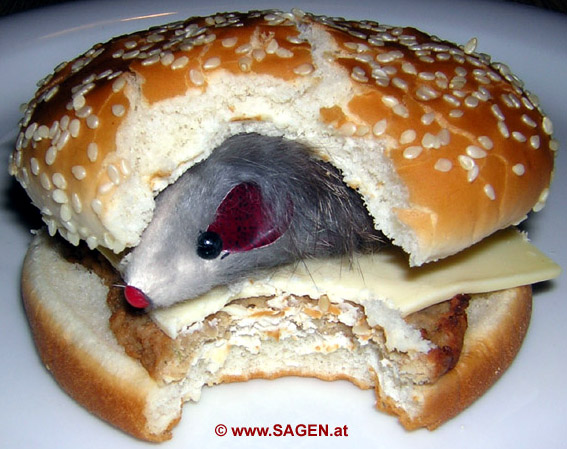 /dateien/uh55626,1249678043,maus hamburger