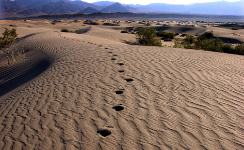 /dateien/uh55935,1250847997,death-valley