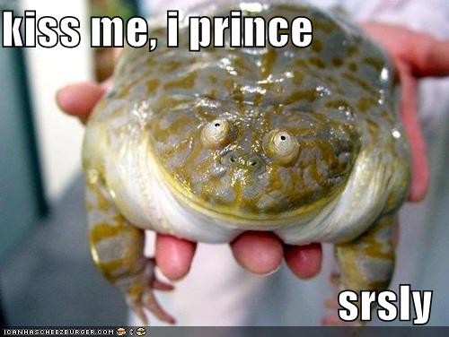 /dateien/uh56607,1253870887,funny-pictures-frog-prince-kiss